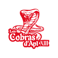 9-les-cobras-apt-13